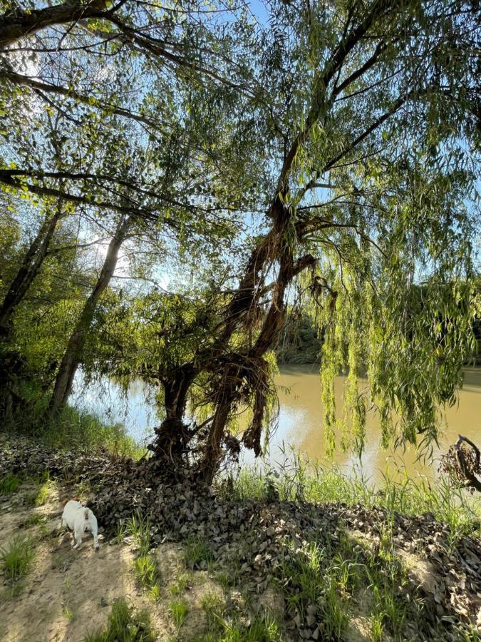 At The River Guest House Kroonstad Exteriér fotografie