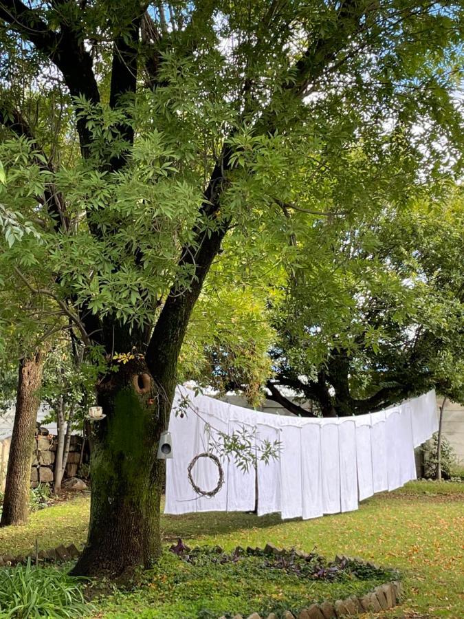 At The River Guest House Kroonstad Exteriér fotografie